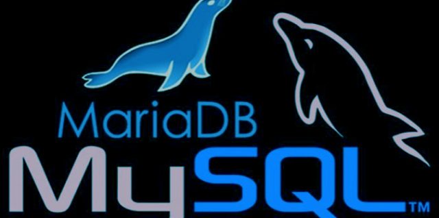 mariaDB-MySQL